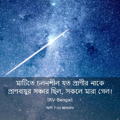 Picture 03 - আদি 7:22 BENIRV - মাটিতে চলনশীল যত - Bible Verse Picture