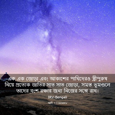 Picture 03 - আদি 7:3 BENIRV - এক এক জোড়া এবং - Bible Verse Picture