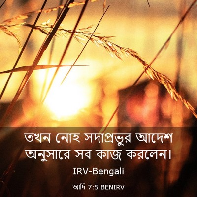 Picture 03 - আদি 7:5 BENIRV - তখন নোহ সদাপ্রভুর - Bible Verse Picture