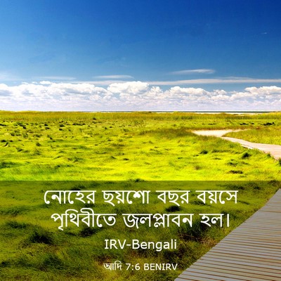 Picture 03 - আদি 7:6 BENIRV - নোহের ছয়শো বছর - Bible Verse Picture