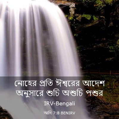 Picture 03 - আদি 7:8 BENIRV - নোহের প্রতি - Bible Verse Picture
