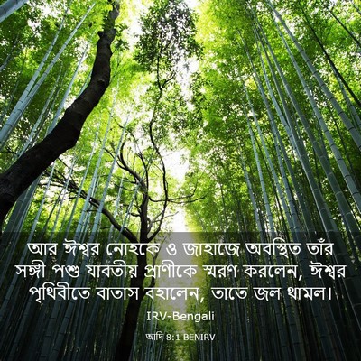 Picture 03 - আদি 8:1 BENIRV - আর ঈশ্বর নোহকে ও - Bible Verse Picture