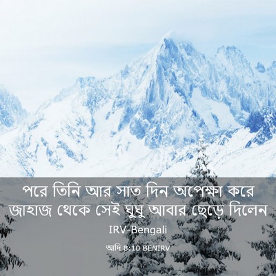 Picture 03 - আদি 8:10 BENIRV - পরে তিনি আর সাত দিন - Bible Verse Picture