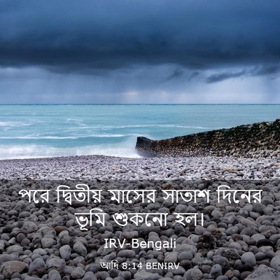 Picture 03 - আদি 8:14 BENIRV - পরে দ্বিতীয় - Bible Verse Picture