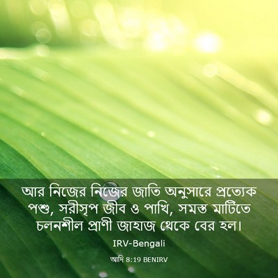 Picture 03 - আদি 8:19 BENIRV - আর নিজের নিজের - Bible Verse Picture