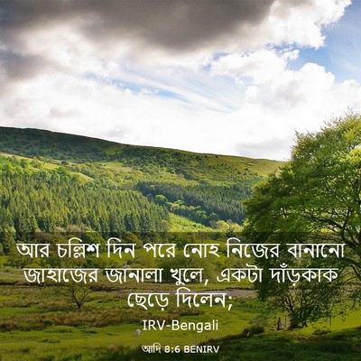 Picture 03 - আদি 8:6 BENIRV - আর চল্লিশ দিন পরে - Bible Verse Picture