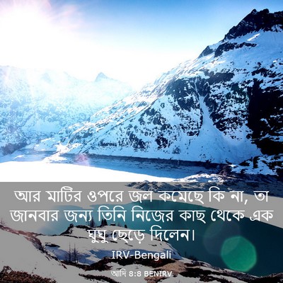 Picture 03 - আদি 8:8 BENIRV - আর মাটির ওপরে জল - Bible Verse Picture