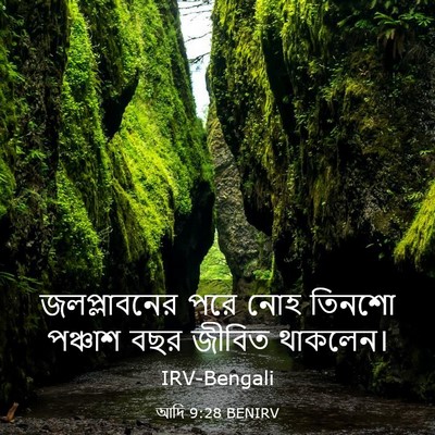 Picture 03 - আদি 9:28 BENIRV - জলপ্লাবনের পরে - Bible Verse Picture