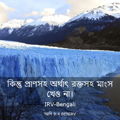 Picture 03 - আদি 9:4 BENIRV - কিন্তু প্রাণসহ - Bible Verse Picture