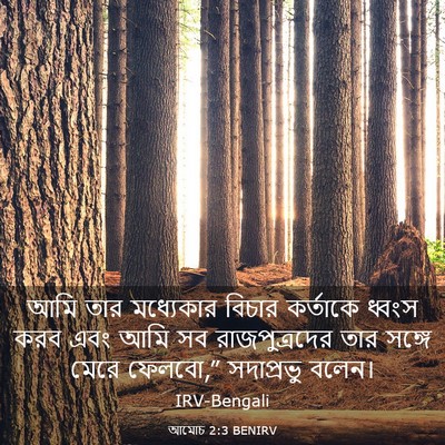 Picture 03 - আমোচ 2:3 BENIRV - আমি তার মধ্যেকার - Bible Verse Picture
