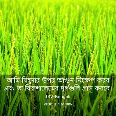 Picture 03 - আমোচ 2:5 BENIRV - আমি যিহূদার উপর - Bible Verse Picture