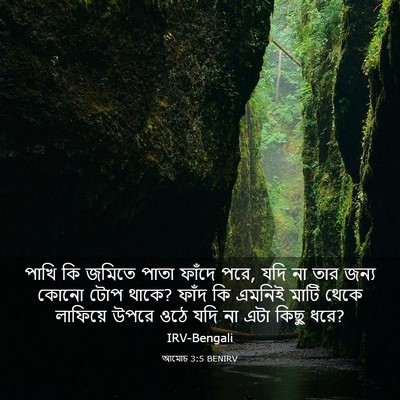 Picture 03 - আমোচ 3:5 BENIRV - পাখি কি জমিতে পাতা - Bible Verse Picture