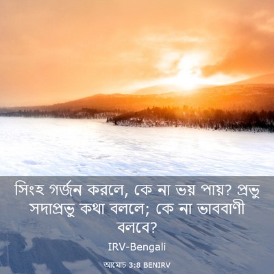 Picture 03 - আমোচ 3:8 BENIRV - সিংহ গর্জন করলে, কে - Bible Verse Picture