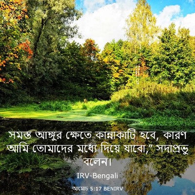 Picture 03 - আমোচ 5:17 BENIRV - সমস্ত আঙ্গুর - Bible Verse Picture