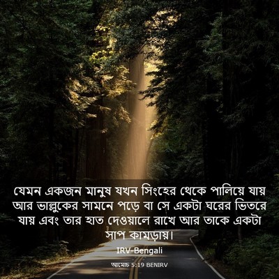 Picture 03 - আমোচ 5:19 BENIRV - যেমন একজন মানুষ - Bible Verse Picture