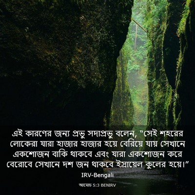 Picture 03 - আমোচ 5:3 BENIRV - এই কারণের জন্য - Bible Verse Picture