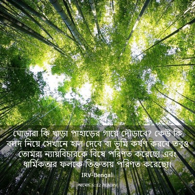 Picture 03 - আমোচ 6:12 BENIRV - ঘোড়ারা কি খাড়া - Bible Verse Picture