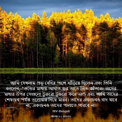 Picture 03 - আমোচ 9:1 BENIRV - আমি দেখলাম প্রভু - Bible Verse Picture