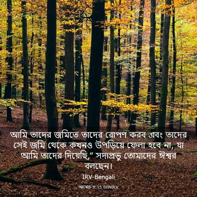 Picture 03 - আমোচ 9:15 BENIRV - আমি তাদের জমিতে - Bible Verse Picture