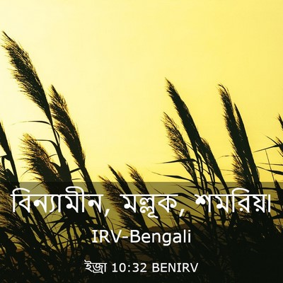 Picture 03 - ইজ্ৰা 10:32 BENIRV - বিন্যামীন, মল্লূক, - Bible Verse Picture