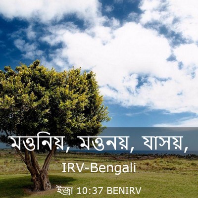 Picture 03 - ইজ্ৰা 10:37 BENIRV - মত্তনিয়, মত্তনয়, - Bible Verse Picture