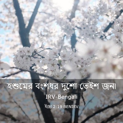 Picture 03 - ইজ্ৰা 2:19 BENIRV - হশুমের বংশধর দুশো - Bible Verse Picture