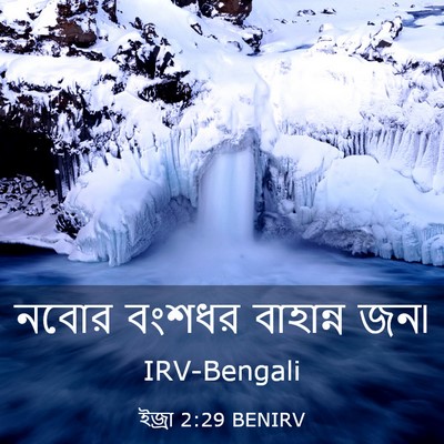 Picture 03 - ইজ্ৰা 2:29 BENIRV - নবোর বংশধর - Bible Verse Picture