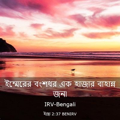 Picture 03 - ইজ্ৰা 2:37 BENIRV - ইম্মেরের বংশধর এক - Bible Verse Picture
