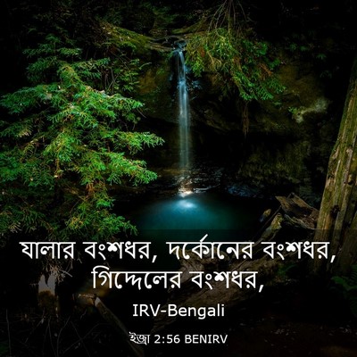 Picture 03 - ইজ্ৰা 2:56 BENIRV - যালার বংশধর, - Bible Verse Picture