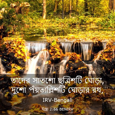 Picture 03 - ইজ্ৰা 2:66 BENIRV - তাদের সাতশো - Bible Verse Picture