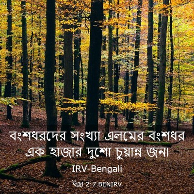 Picture 03 - ইজ্ৰা 2:7 BENIRV - বংশধরদের সংখ্যা - Bible Verse Picture