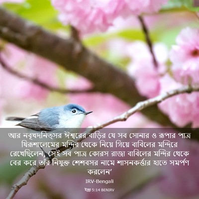Picture 03 - ইজ্ৰা 5:14 BENIRV - আর নবূখদনিত্সর - Bible Verse Picture