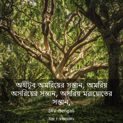 Picture 03 - ইজ্ৰা 7:3 BENIRV - অহীটূব অমরিয়ের - Bible Verse Picture