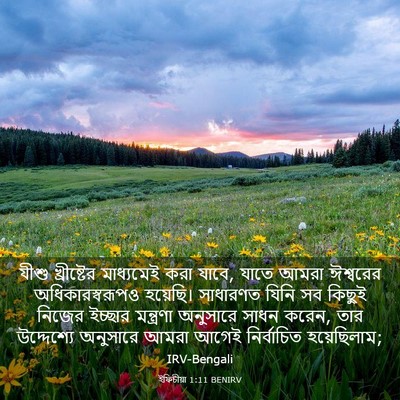 Picture 03 - ইফিচীয়া 1:11 BENIRV - যীশু খ্রীষ্টের - Bible Verse Picture