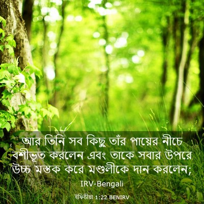 Picture 03 - ইফিচীয়া 1:22 BENIRV - আর তিনি সব কিছু - Bible Verse Picture