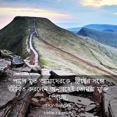 Picture 03 - ইফিচীয়া 2:5 BENIRV - পাপে মৃত আমাদেরকে, - Bible Verse Picture