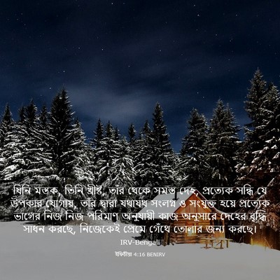Picture 03 - ইফিচীয়া 4:16 BENIRV - যিনি মস্তক, তিনি - Bible Verse Picture