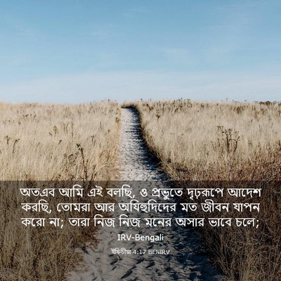 Picture 03 - ইফিচীয়া 4:17 BENIRV - অতএব আমি এই বলছি, ও - Bible Verse Picture