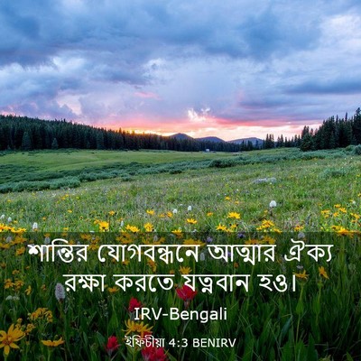 Picture 03 - ইফিচীয়া 4:3 BENIRV - শান্তির যোগবন্ধনে - Bible Verse Picture