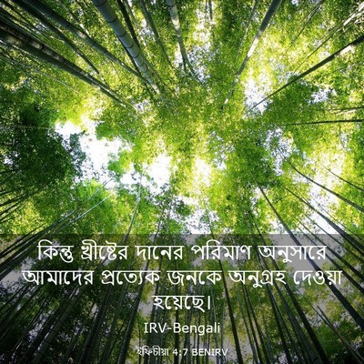 Picture 03 - ইফিচীয়া 4:7 BENIRV - কিন্তু খ্রীষ্টের - Bible Verse Picture