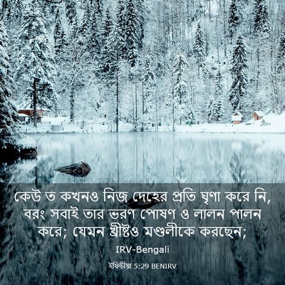 Picture 03 - ইফিচীয়া 5:29 BENIRV - কেউ ত কখনও নিজ - Bible Verse Picture