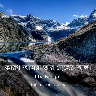Picture 03 - ইফিচীয়া 5:30 BENIRV - কারণ আমরা তাঁর - Bible Verse Picture