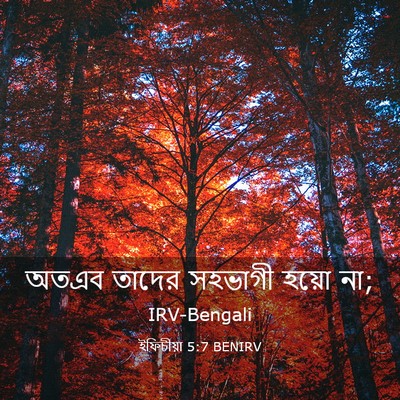 Picture 03 - ইফিচীয়া 5:7 BENIRV - অতএব তাদের সহভাগী - Bible Verse Picture