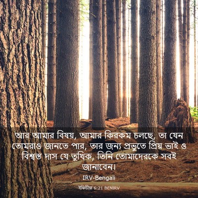 Picture 03 - ইফিচীয়া 6:21 BENIRV - আর আমার বিষয়, আমার - Bible Verse Picture