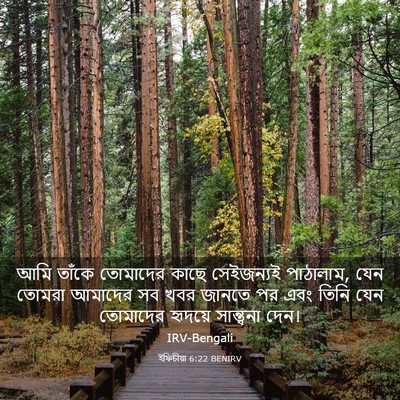 Picture 03 - ইফিচীয়া 6:22 BENIRV - আমি তাঁকে তোমাদের - Bible Verse Picture