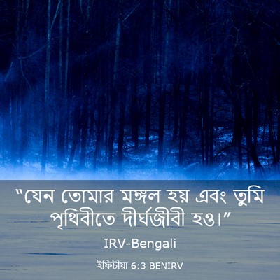 Picture 03 - ইফিচীয়া 6:3 BENIRV - “যেন তোমার মঙ্গল - Bible Verse Picture