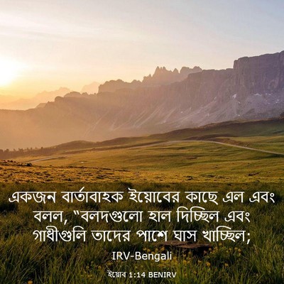 Picture 03 - ইয়োব 1:14 BENIRV - একজন বার্তাবাহক - Bible Verse Picture