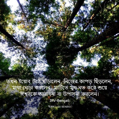 Picture 03 - ইয়োব 1:20 BENIRV - তখন ইয়োব উঠে - Bible Verse Picture