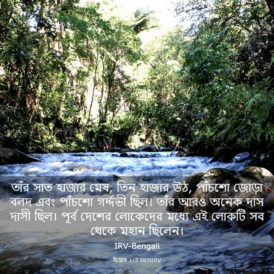 Picture 03 - ইয়োব 1:3 BENIRV - তাঁর সাত হাজার মেষ, - Bible Verse Picture