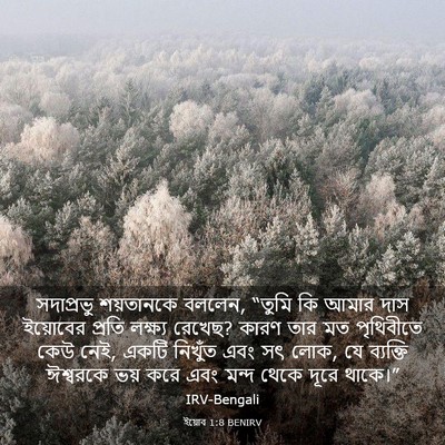 Picture 03 - ইয়োব 1:8 BENIRV - সদাপ্রভু শয়তানকে - Bible Verse Picture